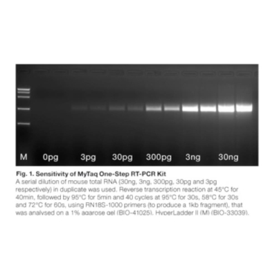 Meridian Bioscience MyTaq One-Step RT-PCR Kit - 100 Reactions