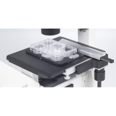 Motic AE31E Inverted Binocular Microscope