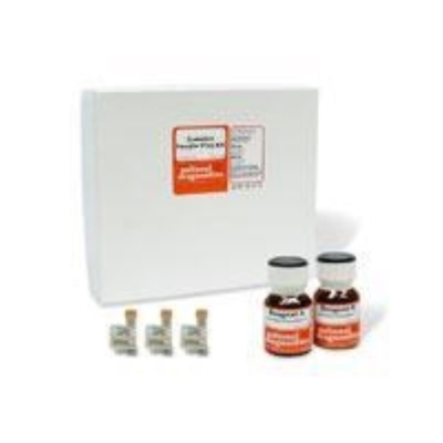 ProtoGel Protein Sample Prep Kit for PAGE - Prepares 100 Samples