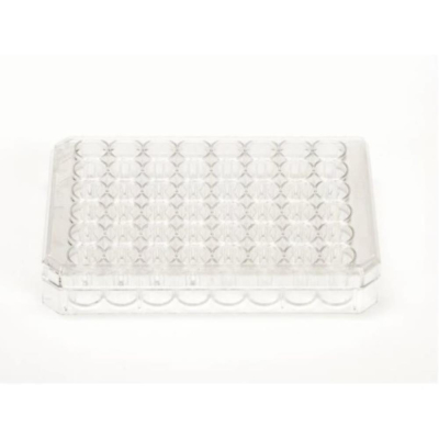 Nunc Nunclon Delta Treated Round 48 Well Flat Bottom Sterile Dish without Lid