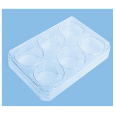 Nunc Nunclon Vita Multiwell dish 6 wells 9.6cm2/well sterile