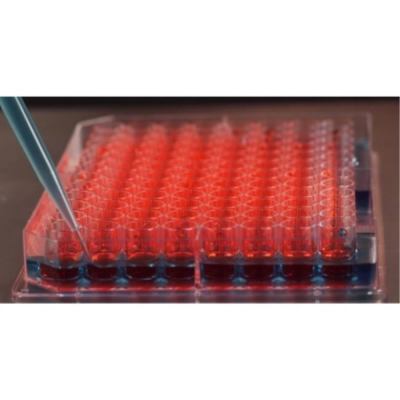 Nunc Microplate Edge 2.0 96 Flat Bottom   Clear  Nunclon Delta  Sterile With Lid  Individually Bagge
