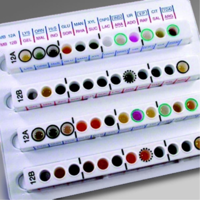 V Factor Diagnostic disc (5X50)