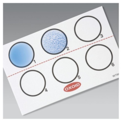 Legionella Pneumophila Serogroup 2-14 Test Reagent