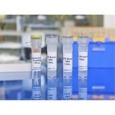 OZ Biosciences Magnetofectamine O2 Starting Kit  (Super Magnetic Plate; 250uL CombiMag; 750uL MTX  R