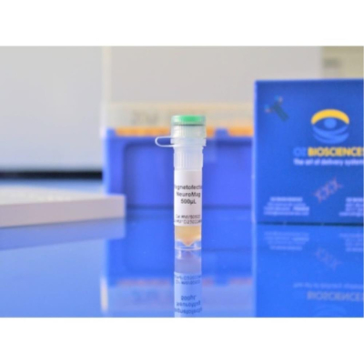 Oz Biosciences NeuroMag 500uL