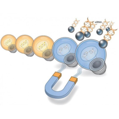 OZ Biosciences SilenceMag 200ul
