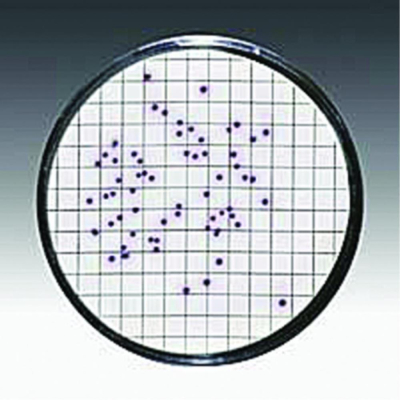 Sartorius Filter Membrane CN 47mmx0.45um