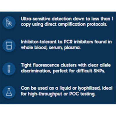 PSF-CMV-CMV-SBFI - DUAL CMV EXPRESSION PLASMID; plasmid vector for molecular cloning