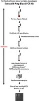 REDExtract-N-Amp Blood PCR Kit, sufficient for 10 extractions, sufficient for 10 amplifications