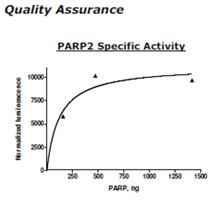 PARP2 Active human, recombinant, expressed in baculovirus infected insect cells, >=80% (SDS-PAGE)