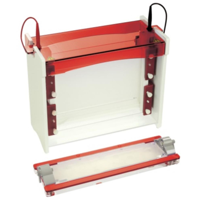 SLS Flowgen 29 x 22cm Notched Glass Plates 2mm Thick