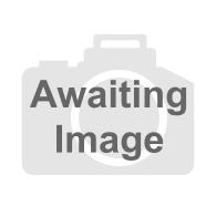 10uL Extended Length Sterile Filter Tips - Racked