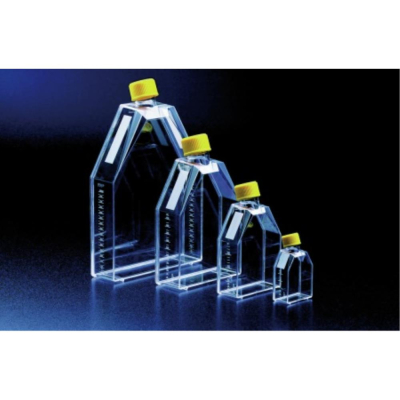 TPP Flask 1360ml 300cm filtered