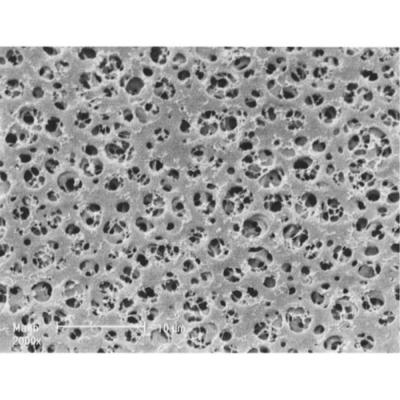 Sartorius Cellulose Acetate Membrane Filters Type 12342
