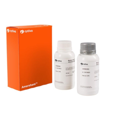Amersham ECL Western Blotting Detection Reagents