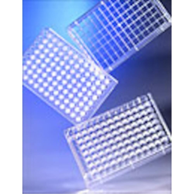 HTS Transwell-96 Permeable Support