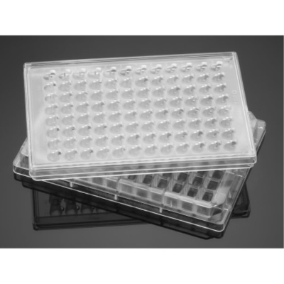 FluoroBlok HTS 96 Multiwell Insert System