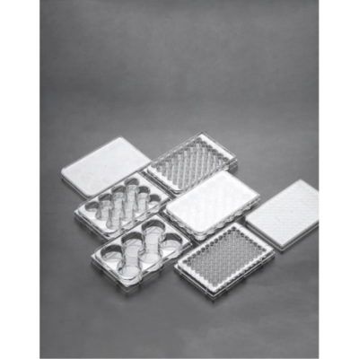 Cell Scientific Polystyrene Tissue Culture Plate