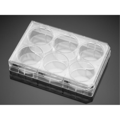 BioCoat Poly-L-Lysine 6 Clear Flat Bottom TC-Treated Multiwell Plate, with Lid, Nonsterile