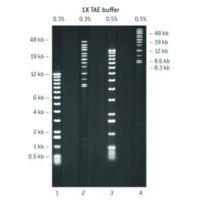 Lonza SeaKem Gold Agarose