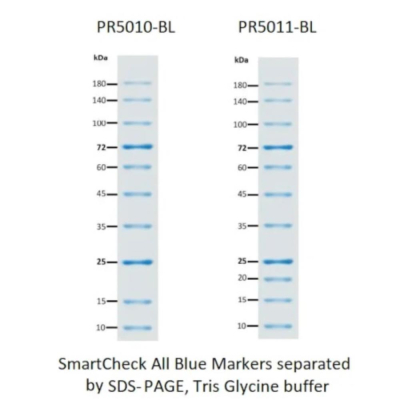 Accuris SmartCheck Blue Protein Marker