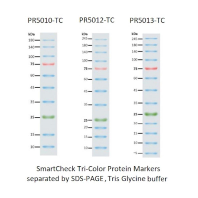 Accuris SmartCheck Tri-Colour Protein Marker