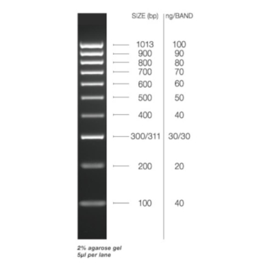 Meridian Bioscience HyperLadder 100bp