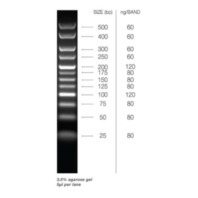 Meridian Bioscience HyperLadder 25bp
