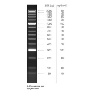 Meridian Bioscience HyperLadder 50bp