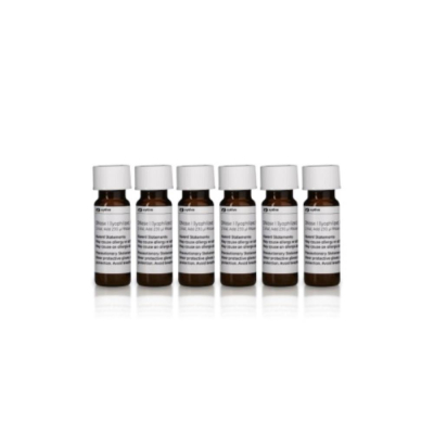 RNAspin Mini Kit