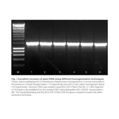 Meridian Bioscience ISOLATE II Plant DNA Kit