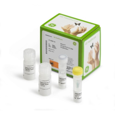 Cytiva GenomiPhi HY DNA Amplification Kit
