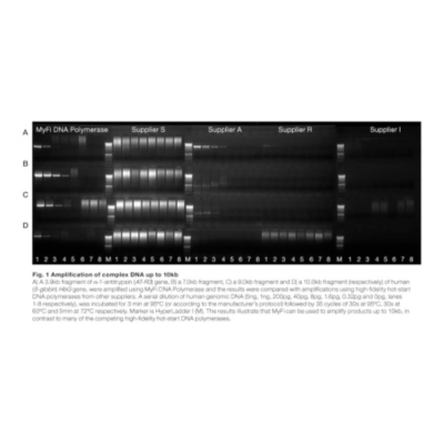 Meridian Bioscience MyFi DNA Polymerase