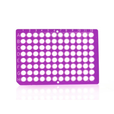 Azenta Life Sciences FrameStar 96 Well PCR Plate