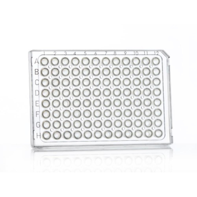 Azenta Life Sciences FrameStar 96 Well PCR Plate Semi-Skirted ABI Style with Upstand Clear Frame Cle