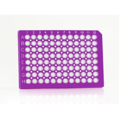 Azenta Life Sciences FrameStar 96 Well PCR Plate Semi-Skirted