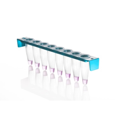 Azenta Life Sciences 0.2mL 8-Well PCR Tube Strips with PC Frame with Domed Strip Caps