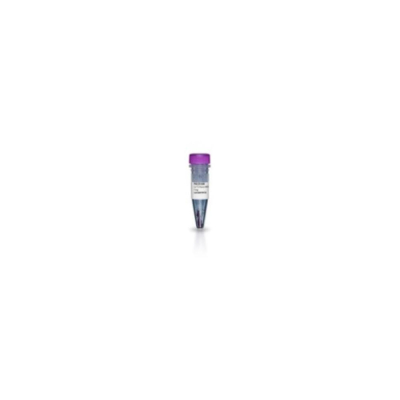 Amersham Cy5 mono NHS ester
