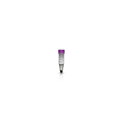 Amersham Cy5 Maleimide