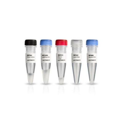 Megaprime Dna Labelling System Dctp