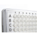 Azenta Life Sciences FrameStar 384 Well PCR Plate Skirted Clear Frame Clear Wells Roche Style A24 P2