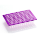 Azenta Life Sciences FrameStar 96 Well PCR Plate Non-Skirted Purple Frame Clear Wells H1 Cut Corner
