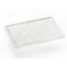 Azenta Life Sciences FrameStar 96 Well PCR Plate Semi-Skirted ABI Style with Upstand Clear Frame Cle