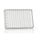 Azenta Life Sciences Standard 96 Well PCR Plate Skirted Clear H1 Cut Corner