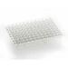 Azenta Life Sciences 96 Well PCR Plate Non-Skirted Clear H12 Cut Corner