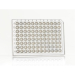 Azenta Life Sciences FrameStar 96 Well PCR Plate Semi-Skirted Clear Frame Frosted Wells A12 Cut Corn