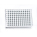 Azenta Life Sciences FrameStar 96 Well PCR Plate Semi-Skirted Roche Style Low Profile Clear Frame Wh