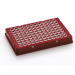 Azenta Life Sciences FrameStar 96 Well PCR Plate Skirted Low Profile Red Frame Clear Wells H1 Cut Co