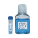 Accuris qMax Green Low Rox qPCR Mix - 1000 Reactions